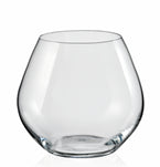 Crystal Stemless Wine Glass Set Of 2